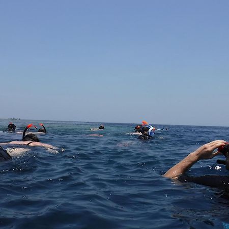 Avana Hotel & Dive Center Pemuteran Kültér fotó